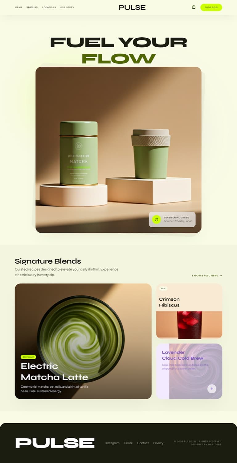 PULSE, Landing page